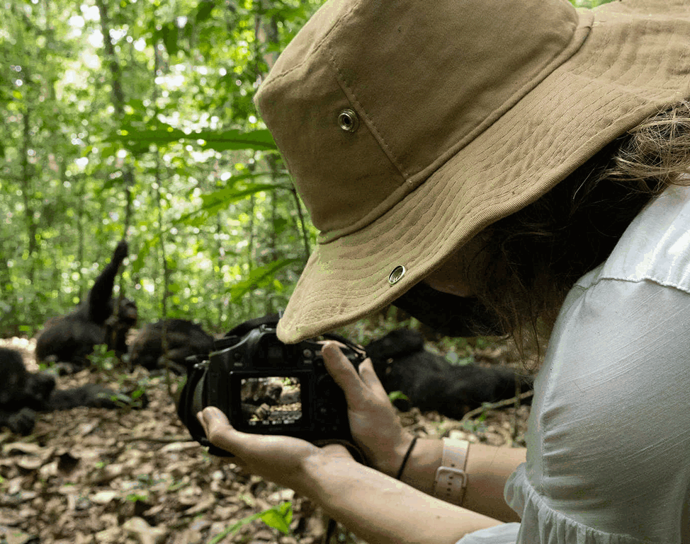 7-Day Uganda Gorilla, Chimpanzees & Wildlife Adventure Safari - Image - 3641